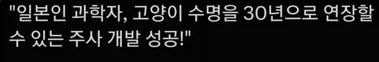 고양이 수명 두배 늘리는 약 상용화 소식 듣고 문득 든 생각_1.webp