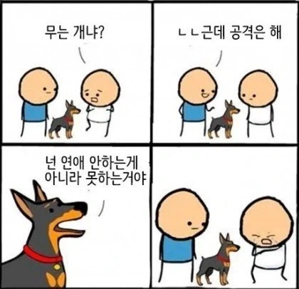 공격성이 강한 개.jpg_1.webp