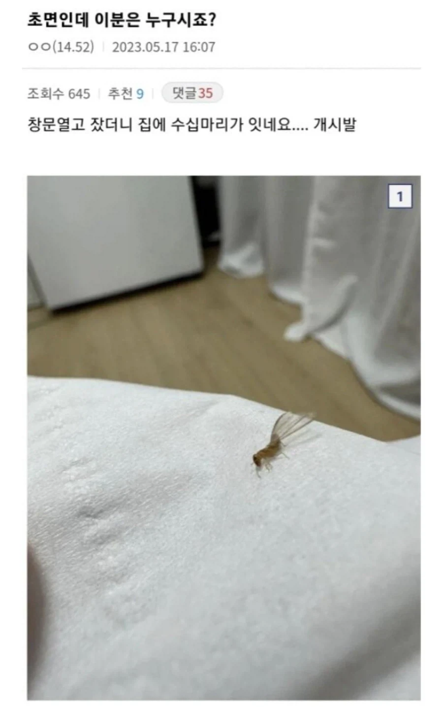 글 하나로 국가기관 어벤져스 시키기.jpg_1.webp