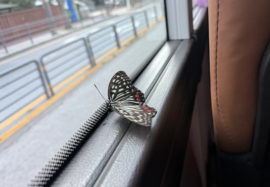 “미안한데 서울까지 무임승차 합시다”_1.webp
