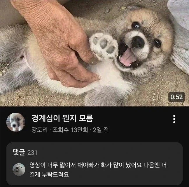 애 아빠가 화났어요_1.webp
