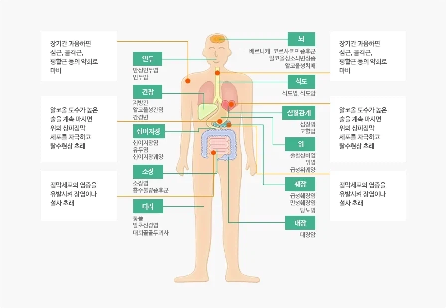 장기간 과음이 신체에 미치는 영향_1.webp