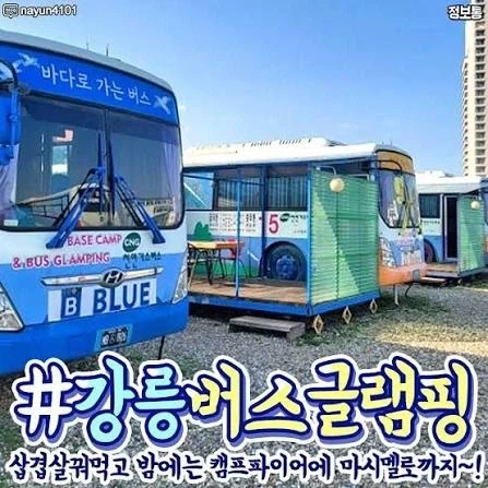 강원도에 있는 폐기 버스로 만든 숙박단지._8.webp