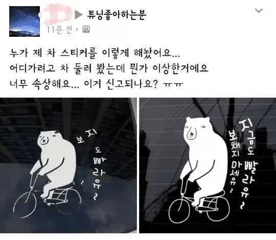누가 제 차 스티커를 이렇게 해놨어요_1.webp