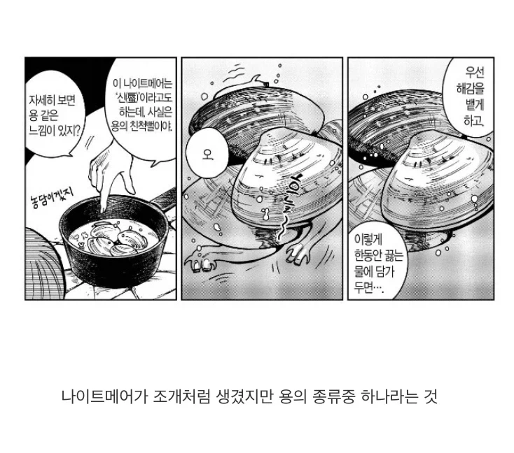 던전밥)나이트메어는 왜 용이면서 조개일까_1.webp