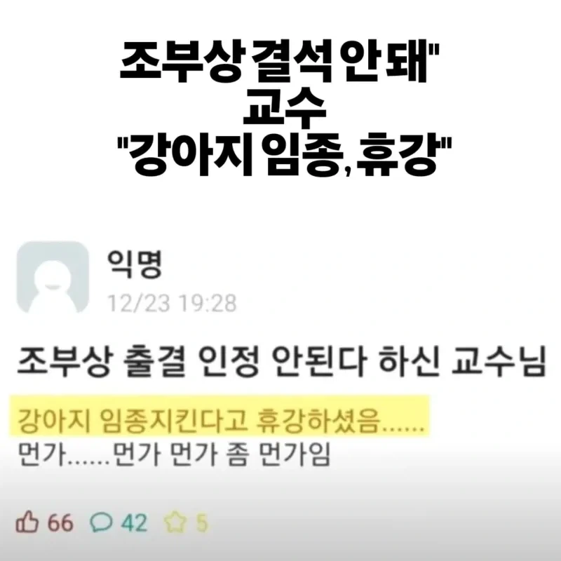 조부상 결석 안된다는 교수_1.webp