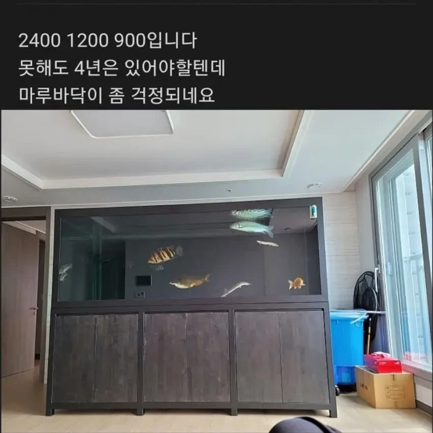 아파트에 2톤짜리 어항 설치한 사람_4.webp