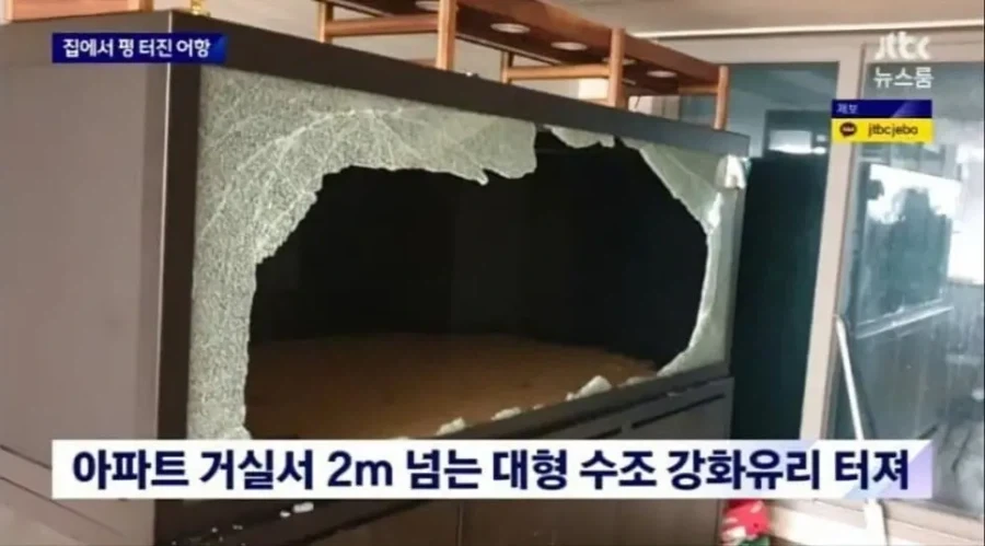 아파트에 2톤짜리 어항 설치한 사람_6.webp