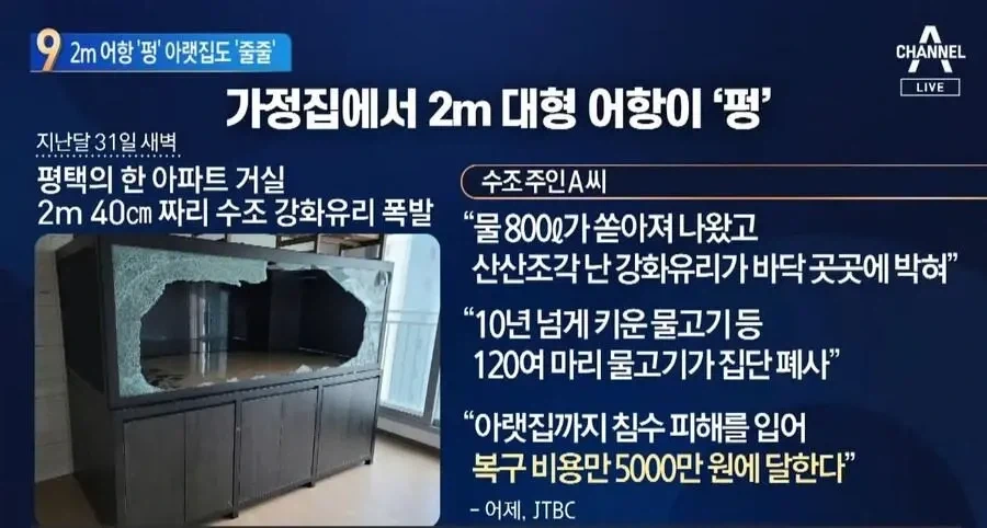 아파트에 2톤짜리 어항 설치한 사람_7.webp