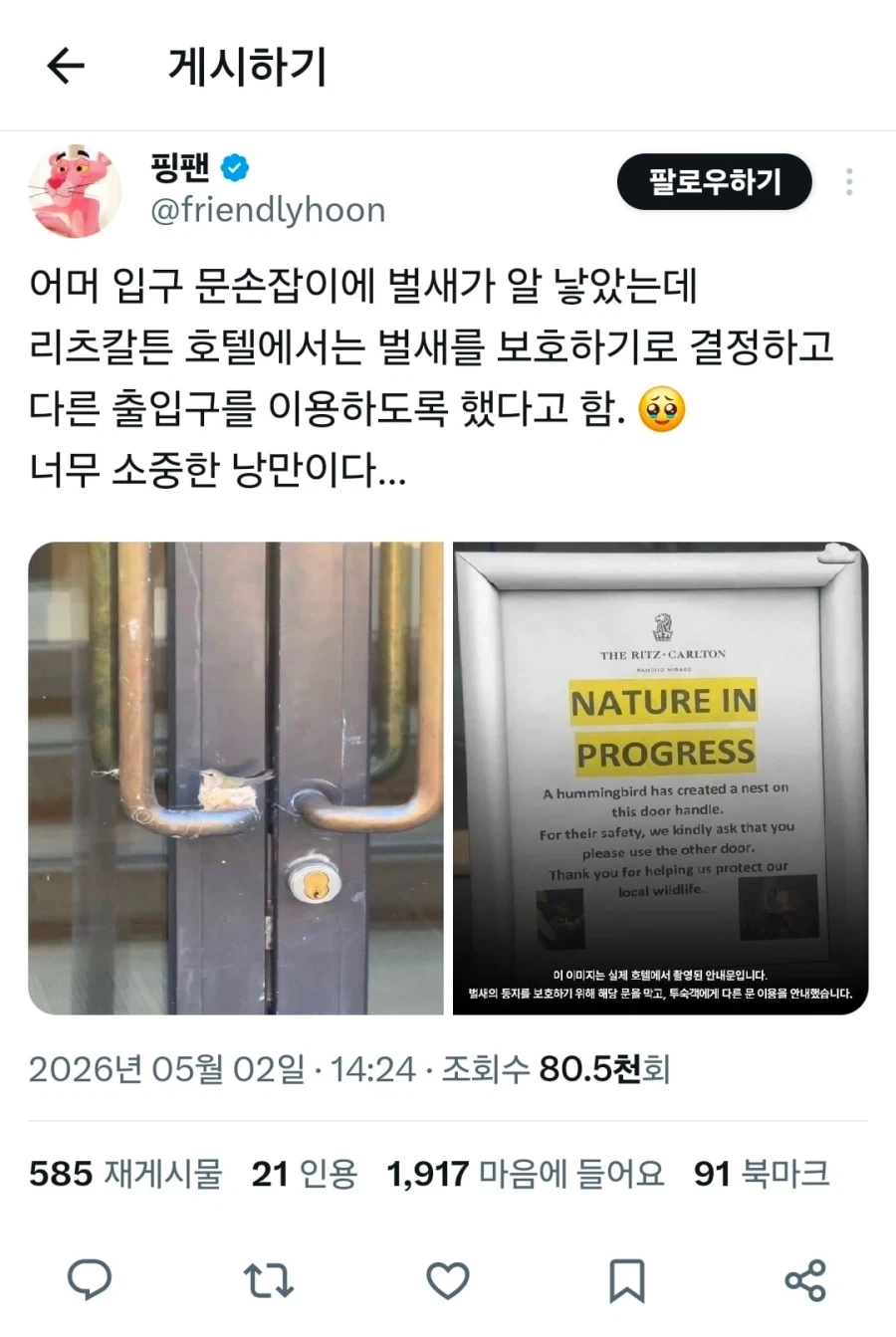 호텔 손잡이에 둥지를 튼 벌새_1.webp