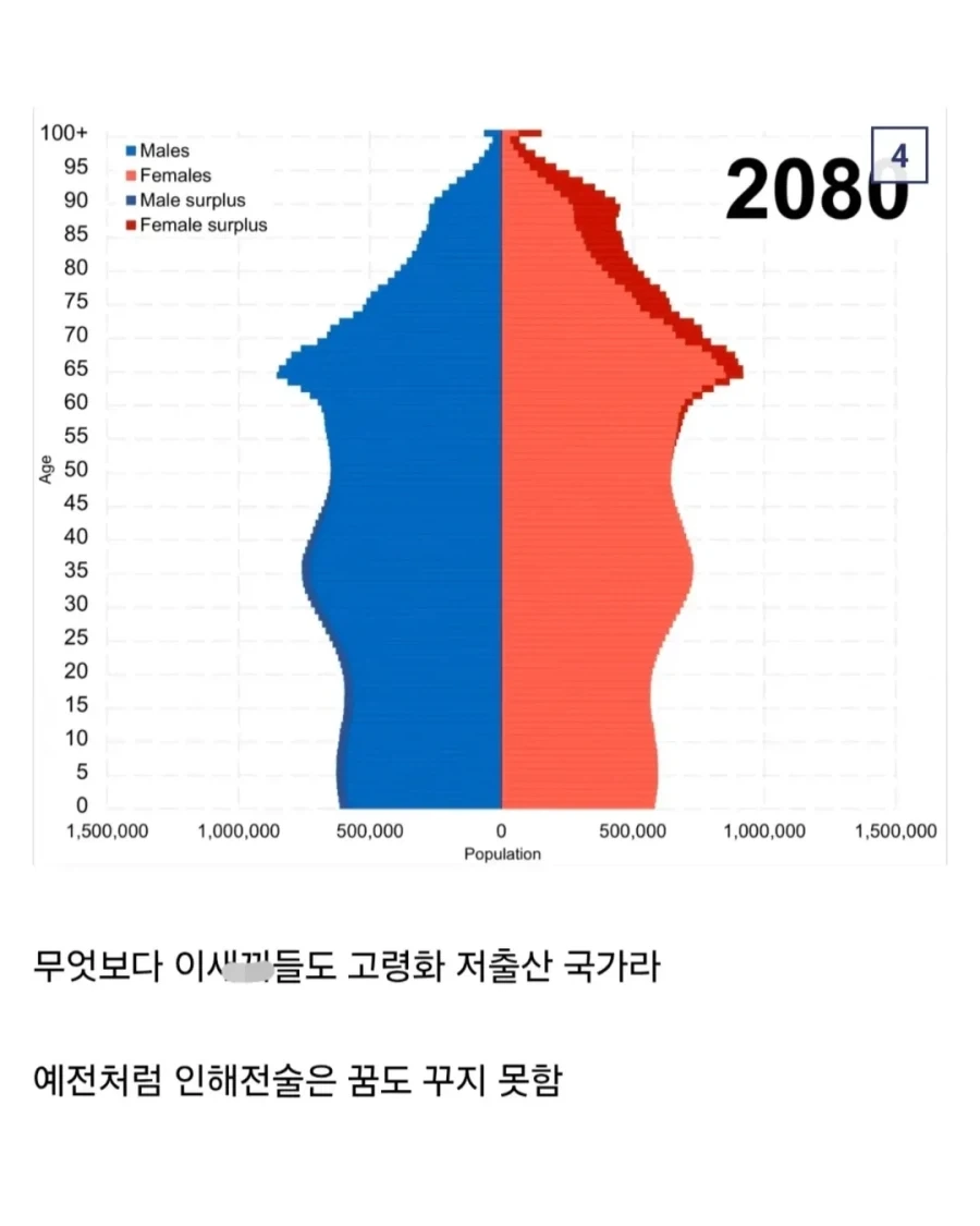 알고 보면 진짜 개병1신인 국가.jpg_4.webp