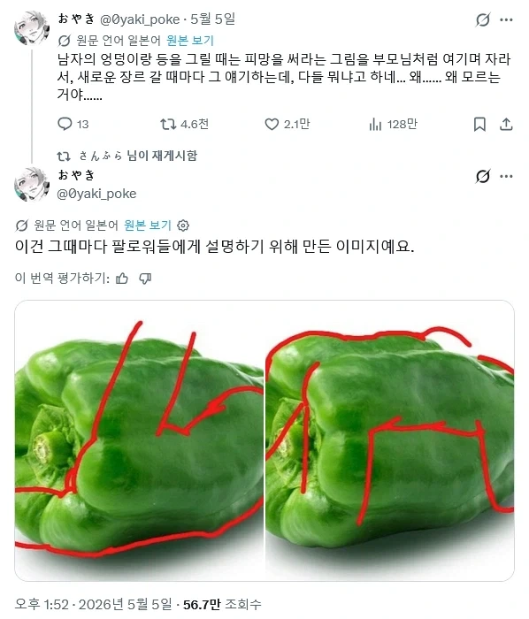 남자 몸을 그릴때 참고하면 좋은 야채_1.webp