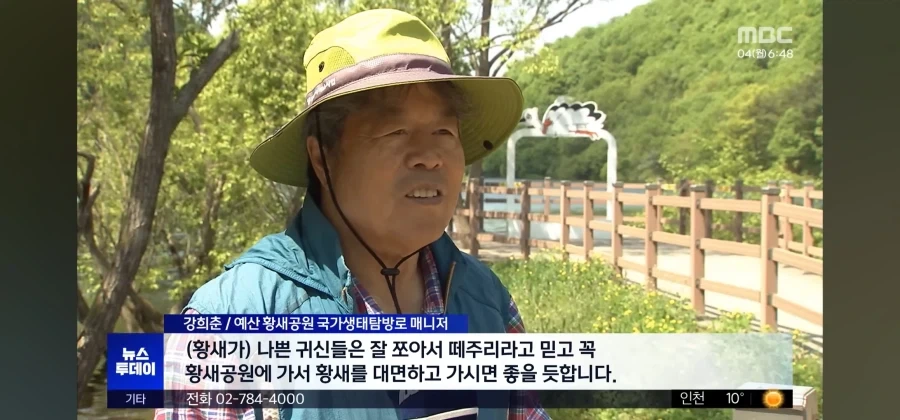 결국 국가의 관리를 받게 된 살목지_7.webp