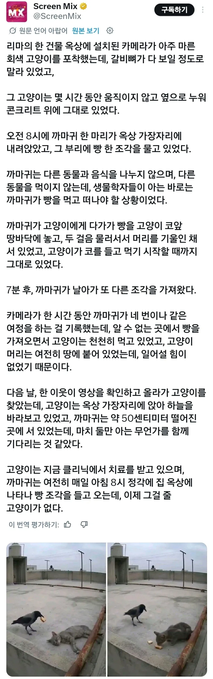 인간의 선의로 포장된 사악한 행위_1.webp