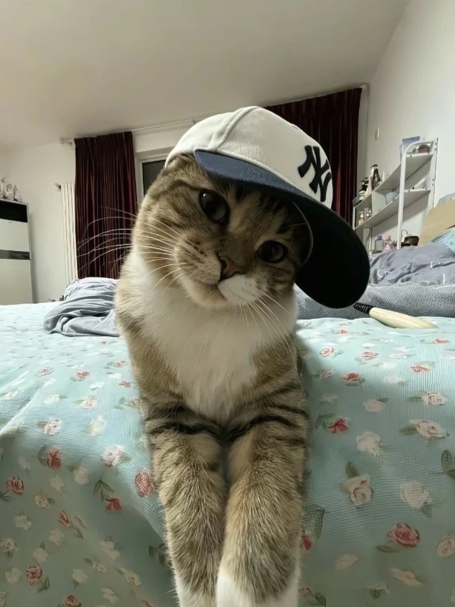 와썹? 브로_1.webp