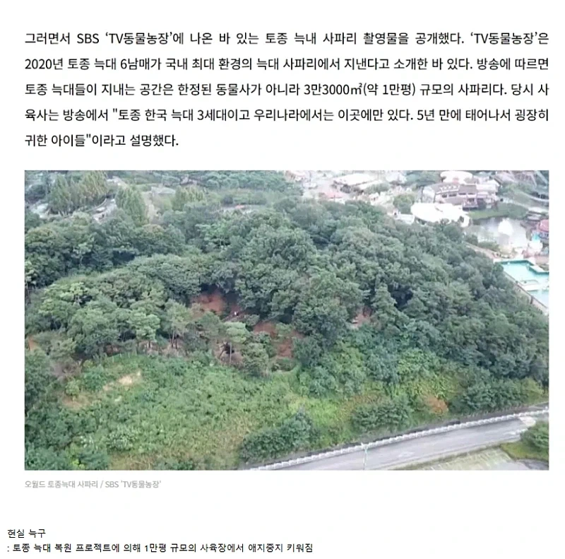 늑구에 대한 오해.jpg_2.webp