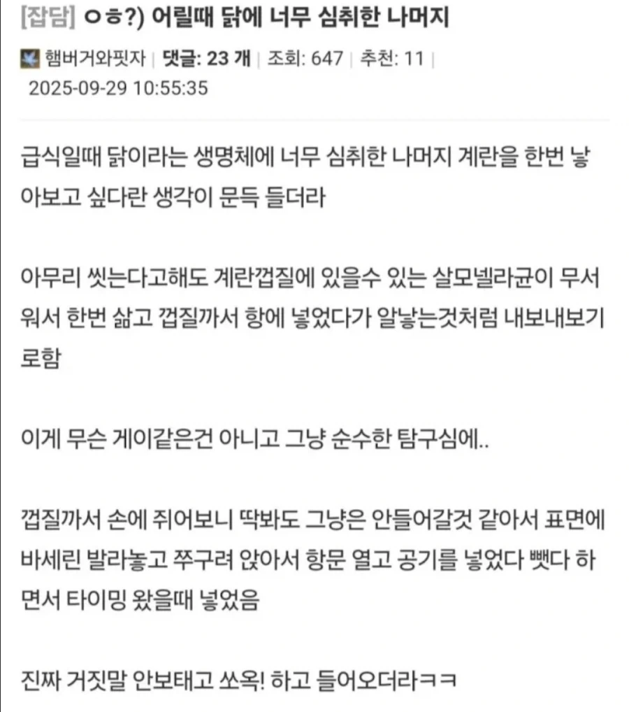 닭이 되고 싶었던 소년_1.webp