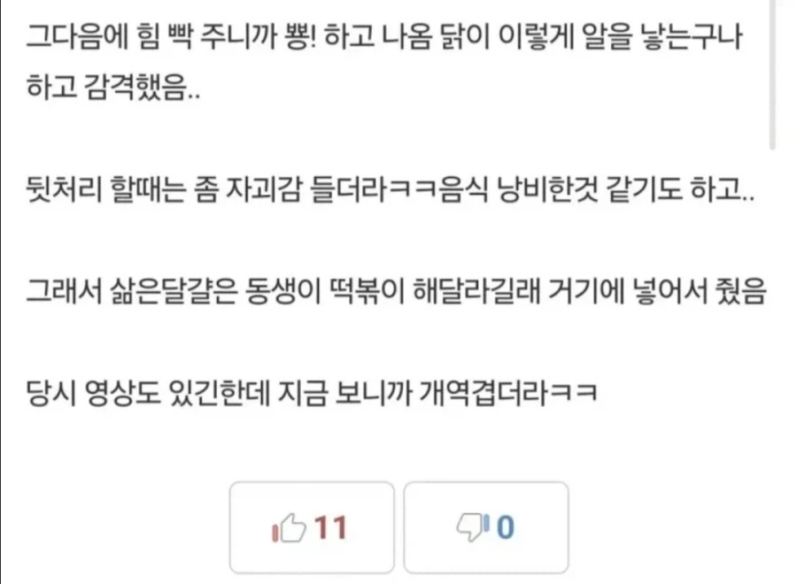 닭이 되고 싶었던 소년_2.webp
