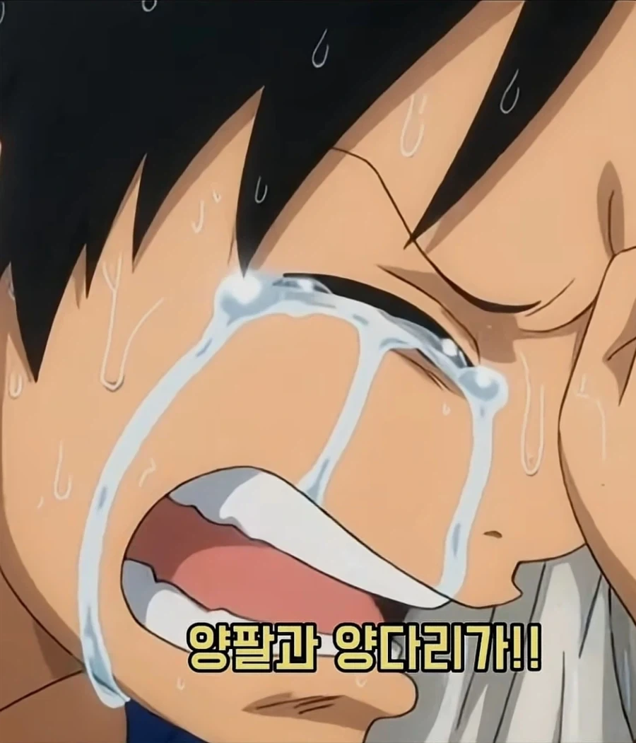 운이 없었던 샹크스_2.webp