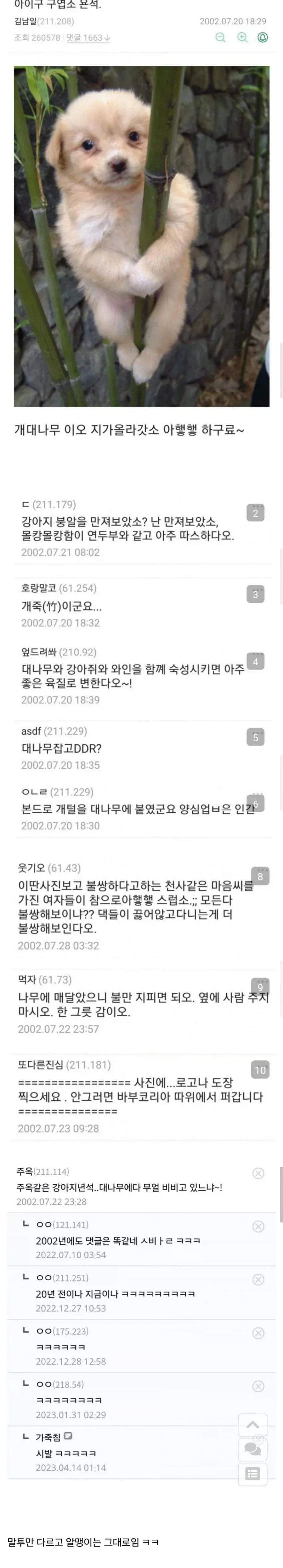 24년전 디씨인사이드 댓글...txt_1.webp