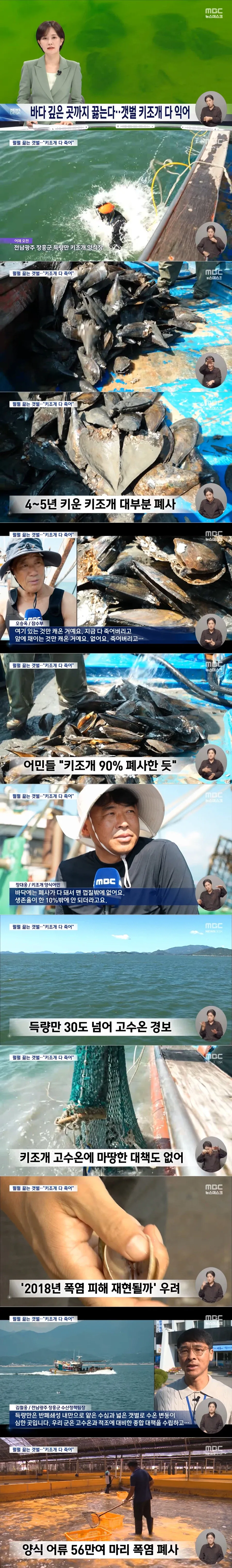 폭염에 10m 아래 펄 속까지 익어‥