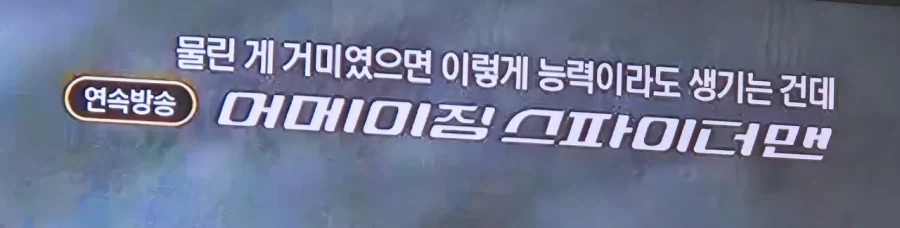 왠지 거미보다 독한 것에 물린듯한 OCN 자막 담당자_1.webp
