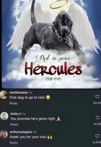 ???: