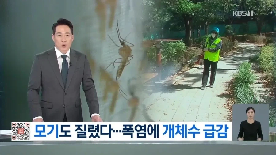 폭염으로 딱 한 가지 좋은 거_1.webp