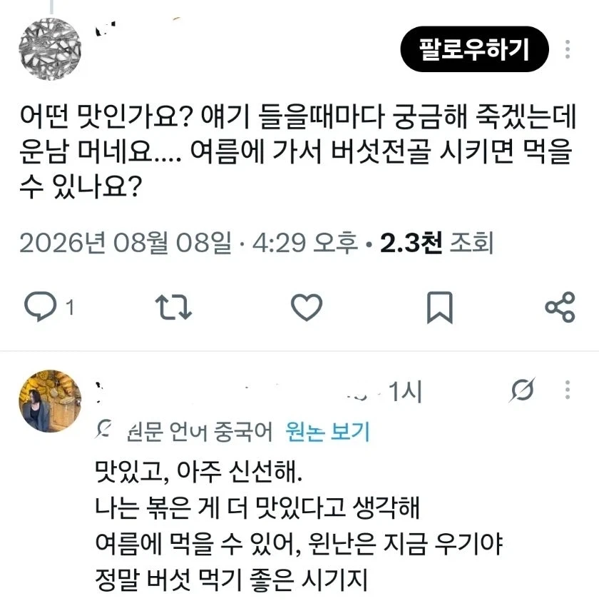 중국 운남의 죽을정도로 맛있는 버섯_4.webp