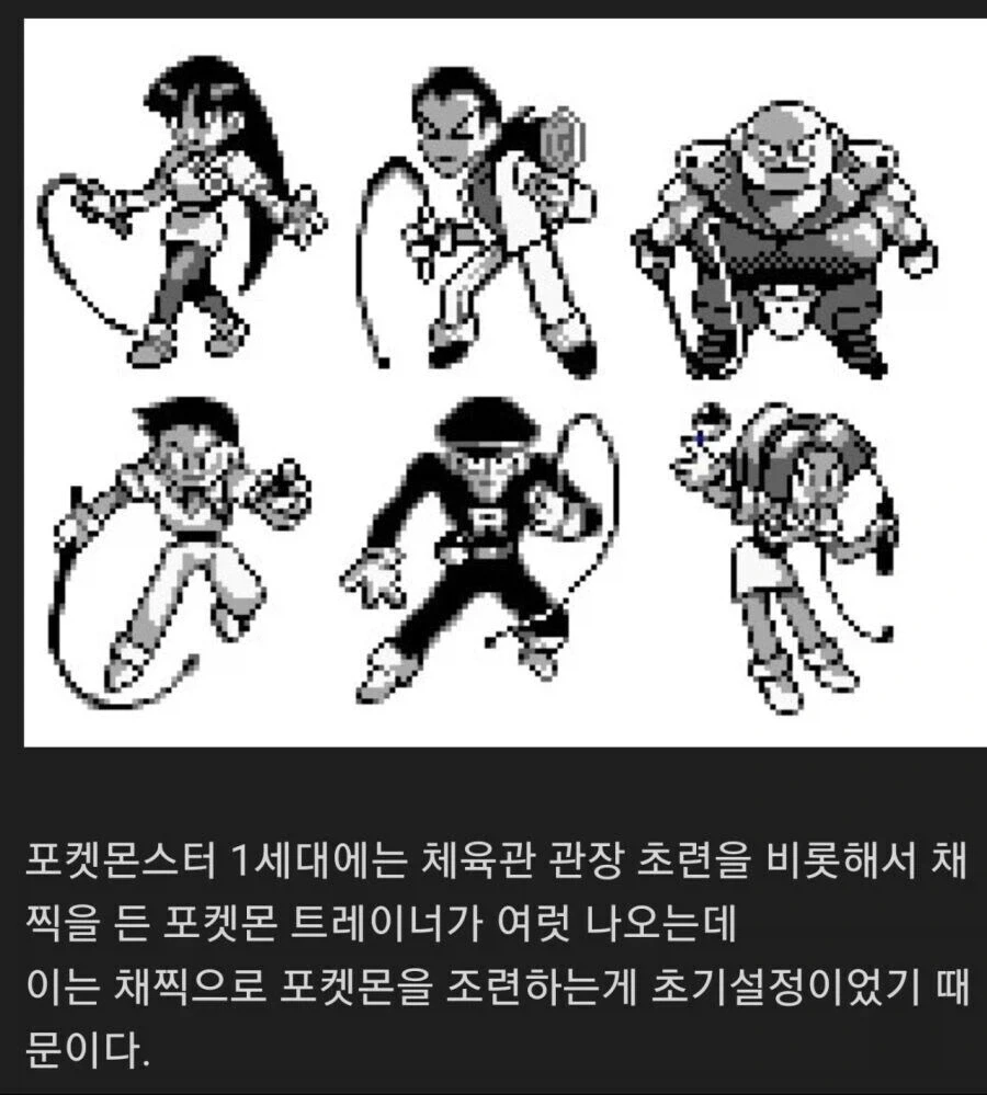 포켓몬 채찍 조련은 폐기되었지만_1.webp