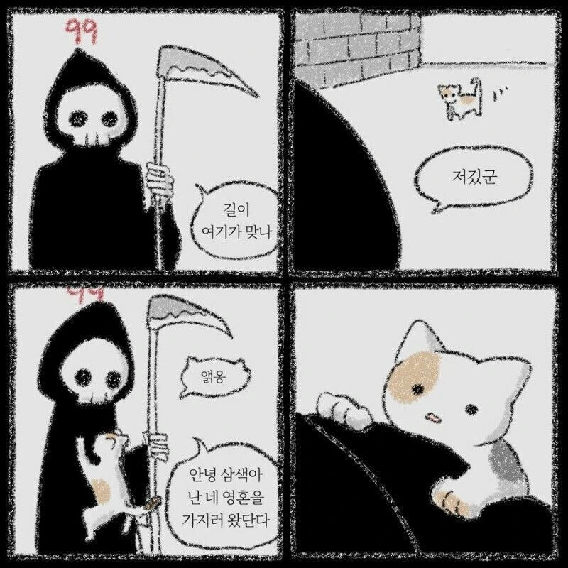 manga_70539043_001.webp