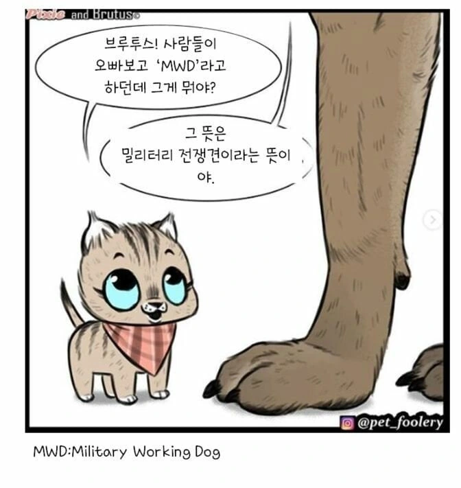 아기고양이와 은퇴군견manga_3.jpeg