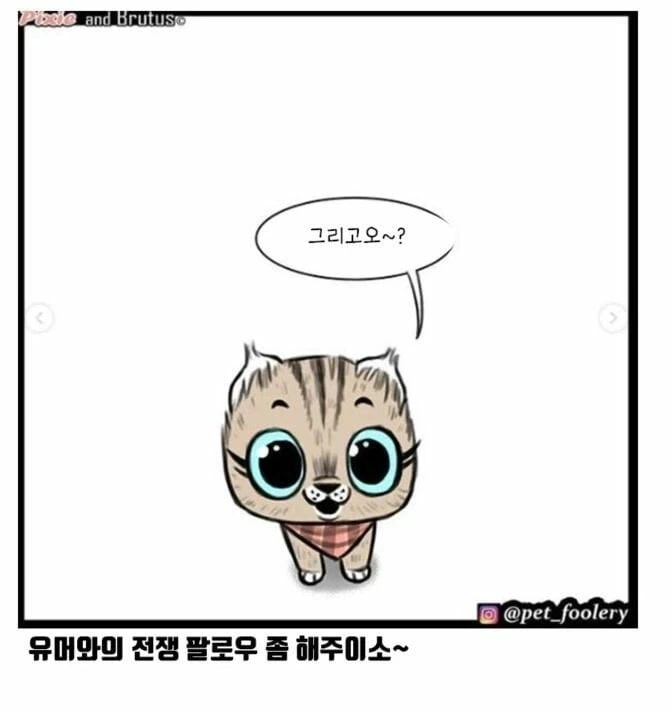 아기고양이와 은퇴군견manga_7.webp