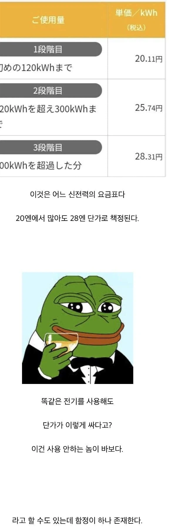 일본의 전기요금이 비싼 이유.jpg_2.webp