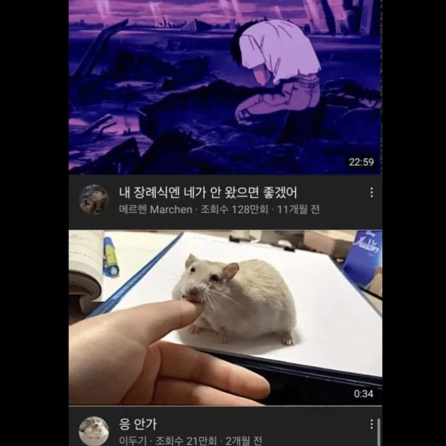 절묘한 유튜브 알고리즘.jpg_1.webp