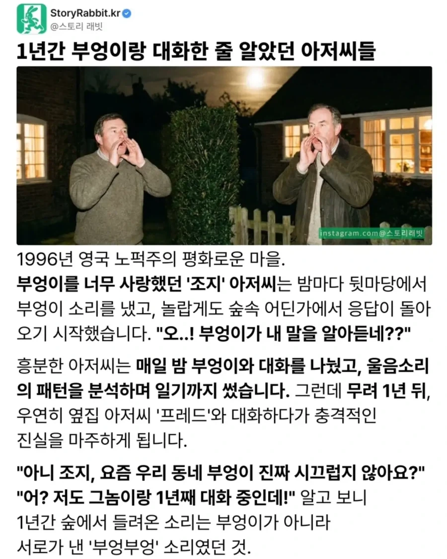 부엉이와 1년간 대화했다는 아저씨들_1.webp