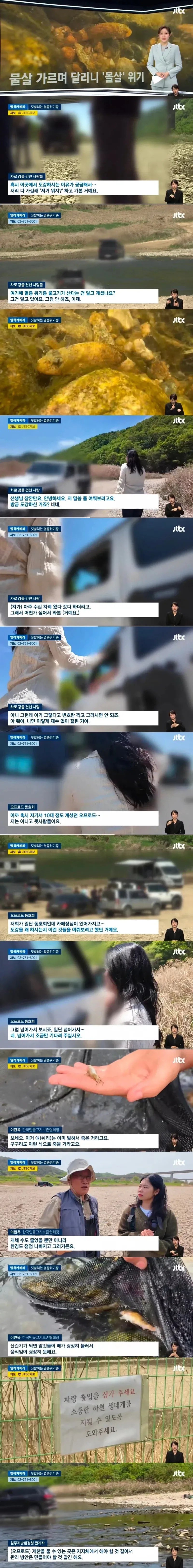 오프로드 동호회 때문에 몰살 위기인 멸종위기 물고기_1.webp