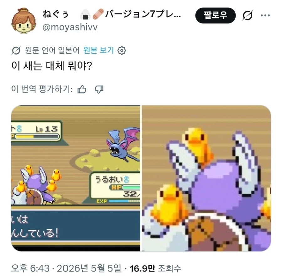 소리소문없이 사라진 새 포켓몬_1.webp
