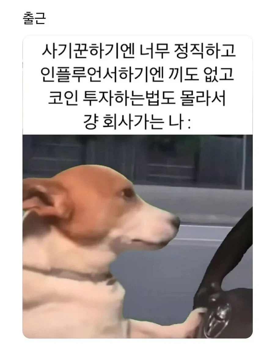 주식 불장에 대처하는 나의 자세_1.webp