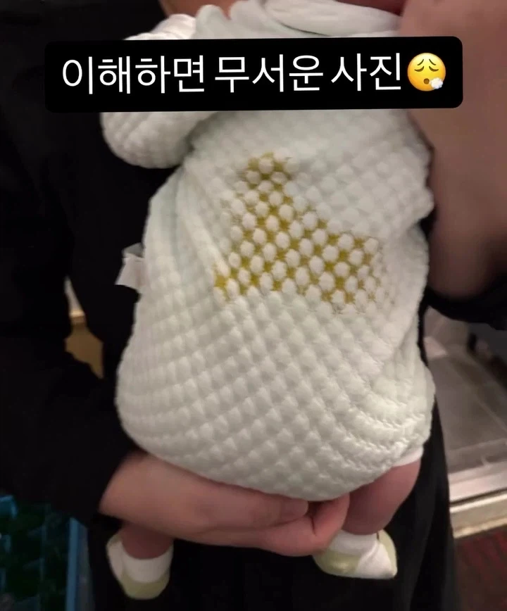 이해하면 무서운 사진.jpg_1.webp