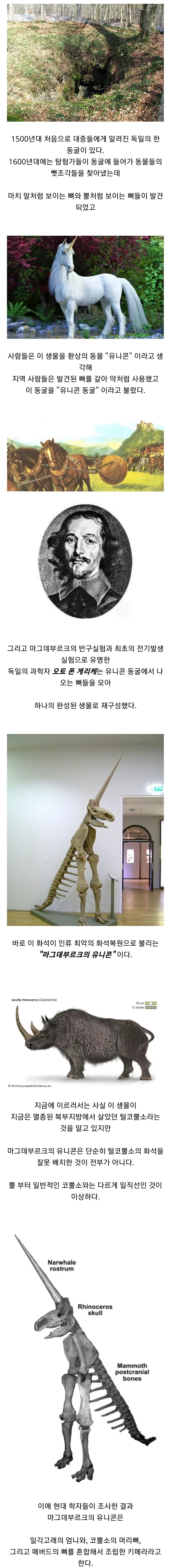 인류역사상 최악의 화석 복원 사례_1.webp