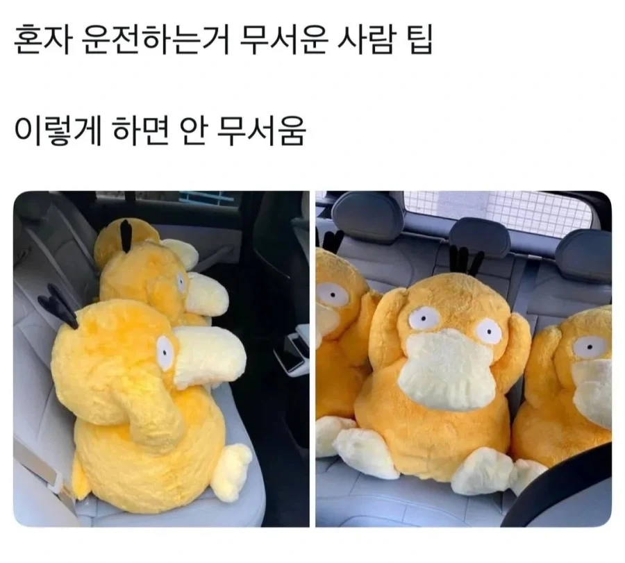 초보라 혼자 운전하기 무서워요.img_1.webp