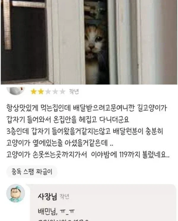 고양이때문에 고생한것 때문에 별점 2개 주겠슴.._1.webp