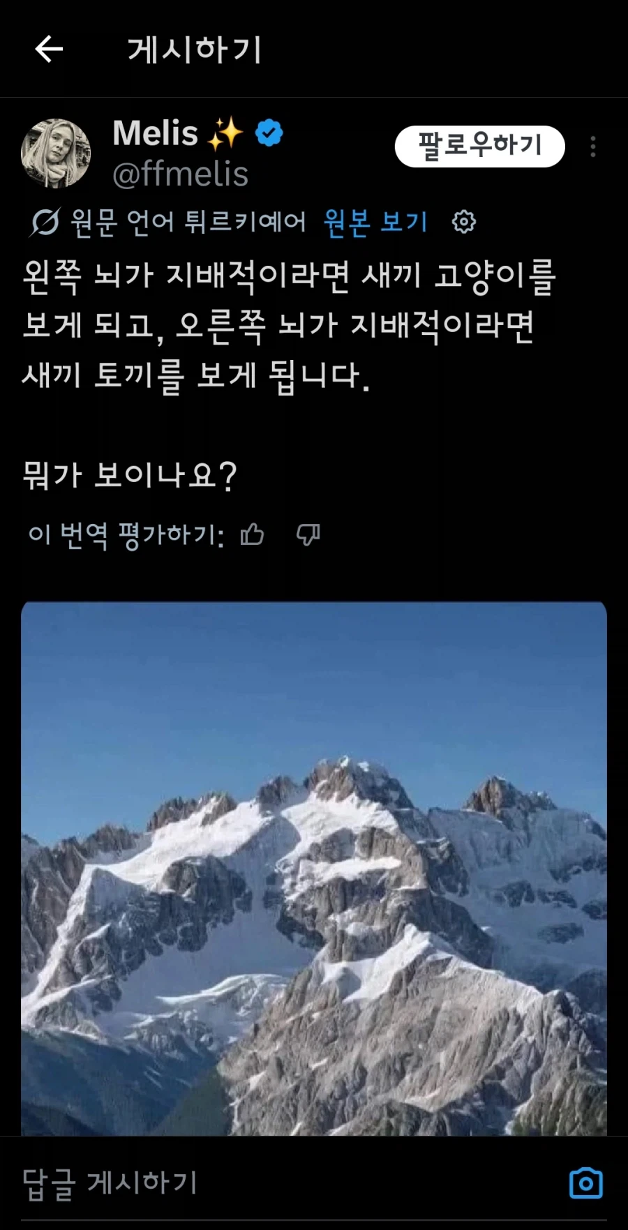 좌뇌 우뇌에 따라 다르게 보인다는 사진인데..._1.webp
