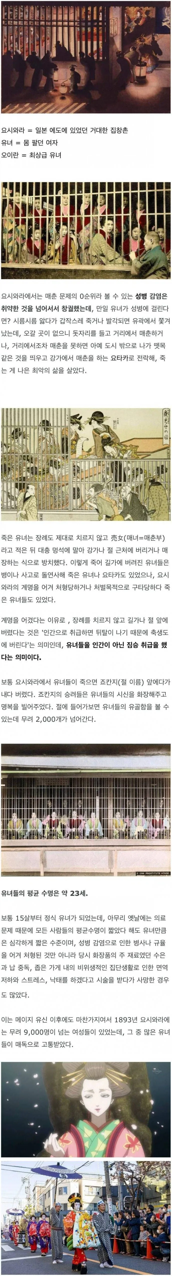 평균 수명이 23세였던 일본 요시와라 유녀들_1.webp