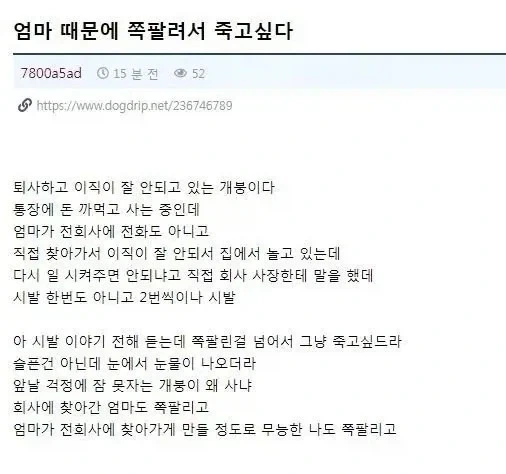 엄마 때문에 쪽팔려서 죽고 싶다는 개드리퍼_1.webp
