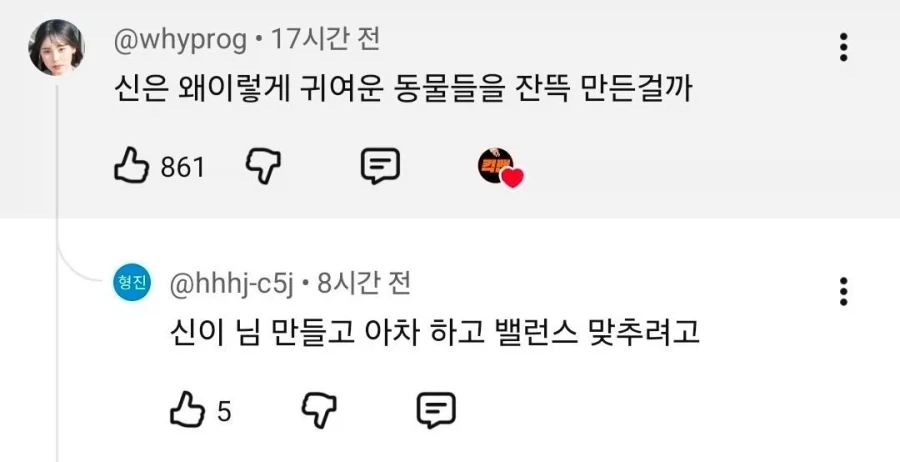 신은 왜 이렇게 귀여운 생물들을 잔뜩 만들었을까_1.webp
