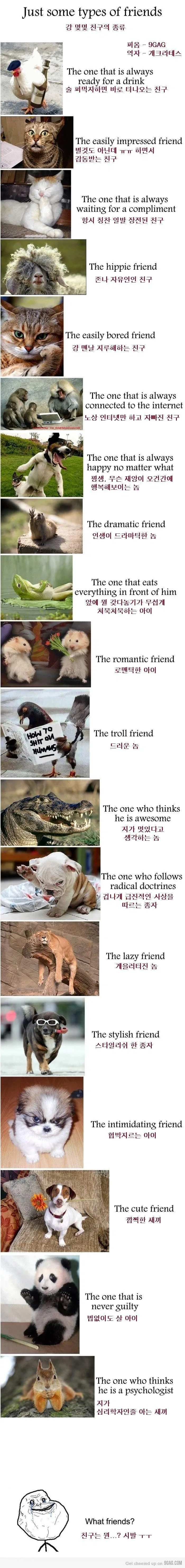 친구 종류 모음ㅋㅋㅋ_1.webp