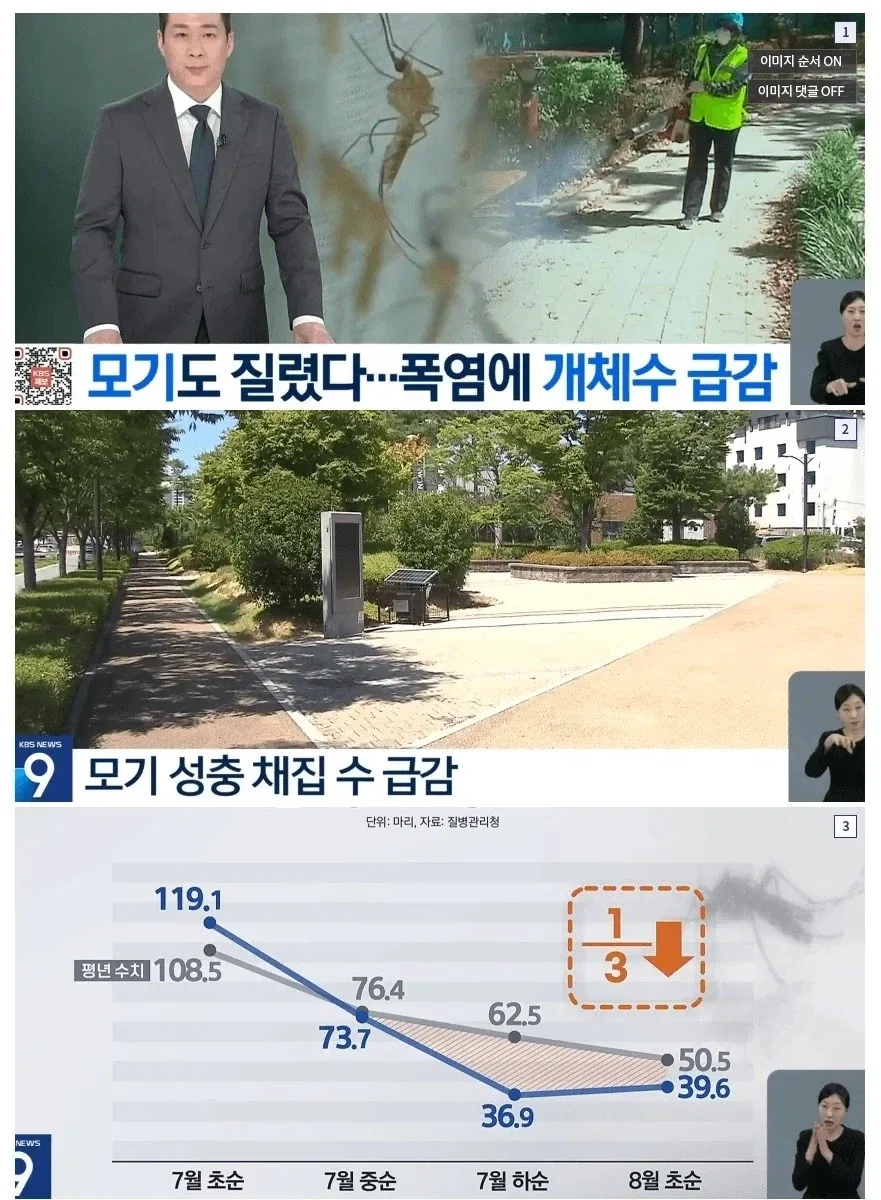 ㅈ같은 한국여행한 동물_1.webp