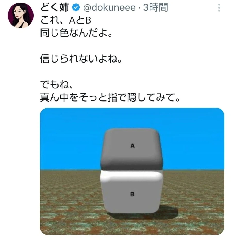 눈의 착시 A와 B는 같은 색임_1.webp